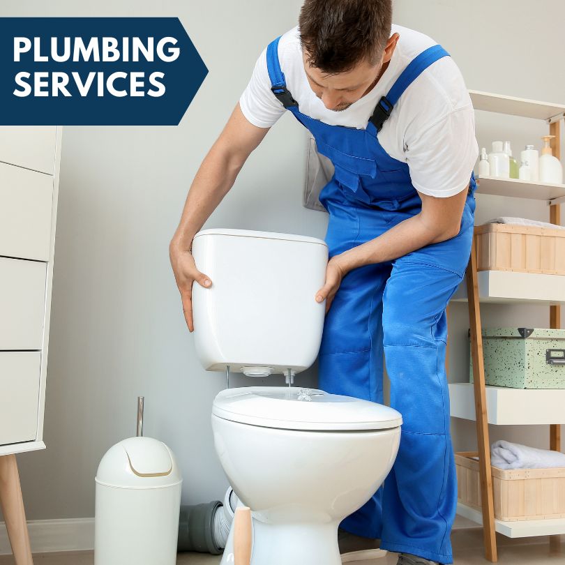 Plumbing Company in Springbrook, IA